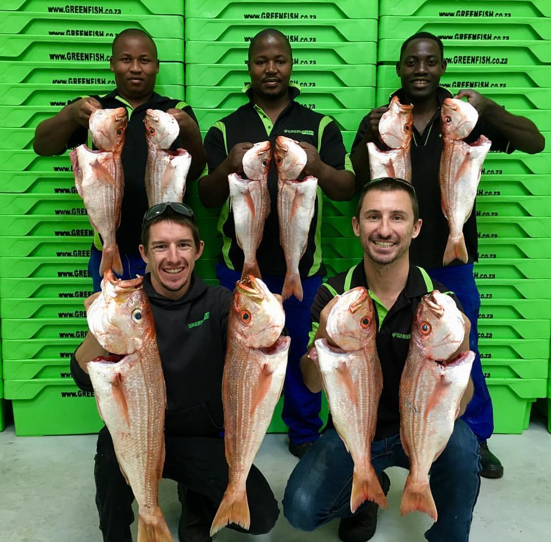 Greenfish employees holding up the catch of the day