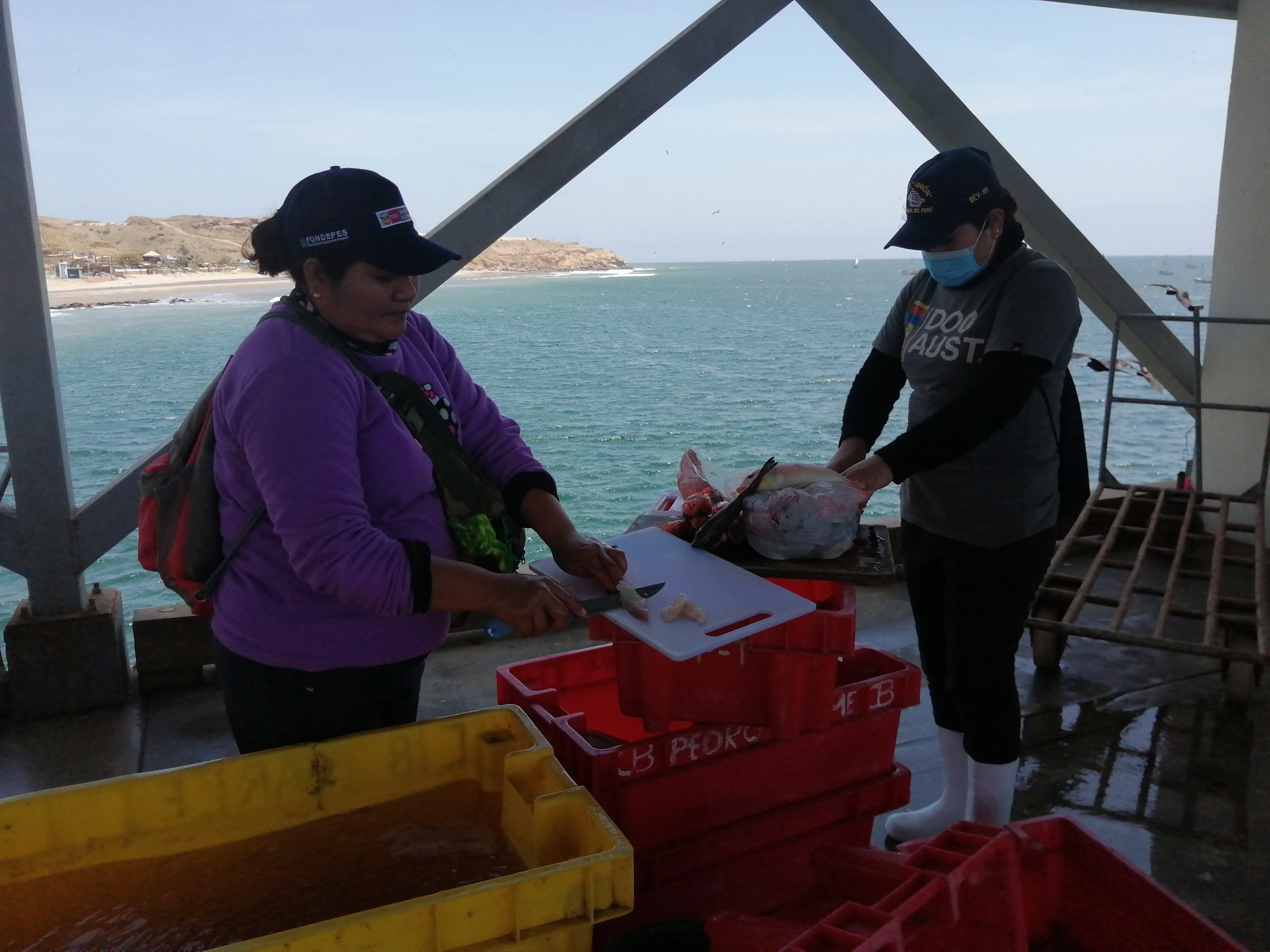 Women filleting fish in Cabo Blanco, Peru