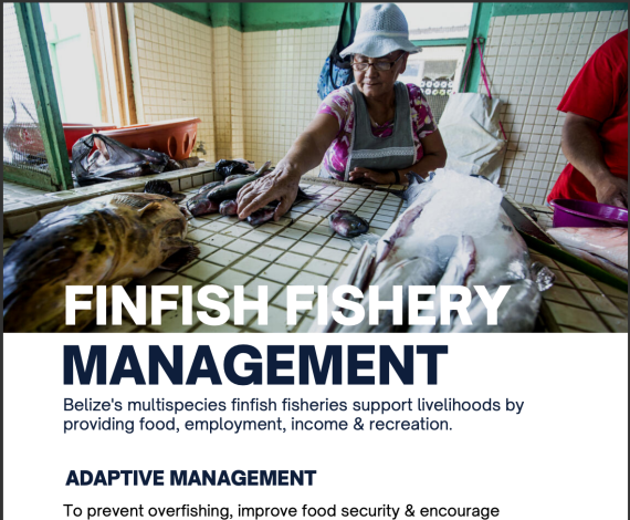 Finfish Fishery Management