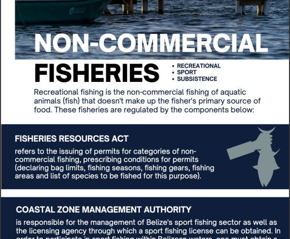 Non-Commercial Fisheris Card