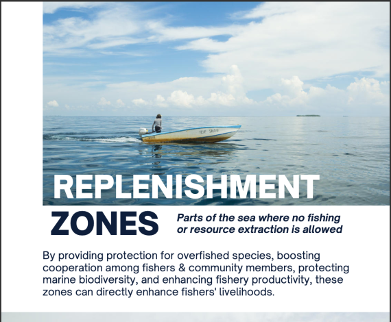 Replenishment zones card