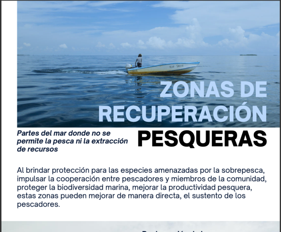 Replenishment Zones Spanish Card