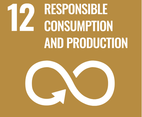 responsible consumption and production