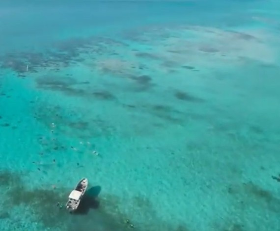 coral reef from above
