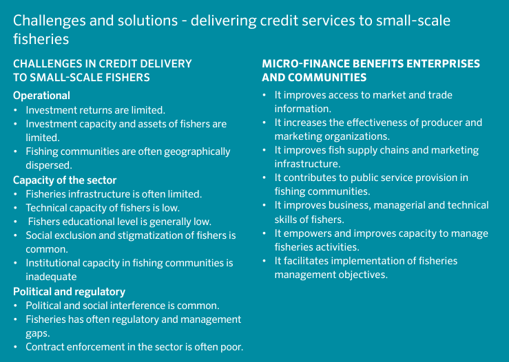 Microfinance Snapshot