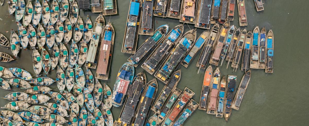 Boats at harbor