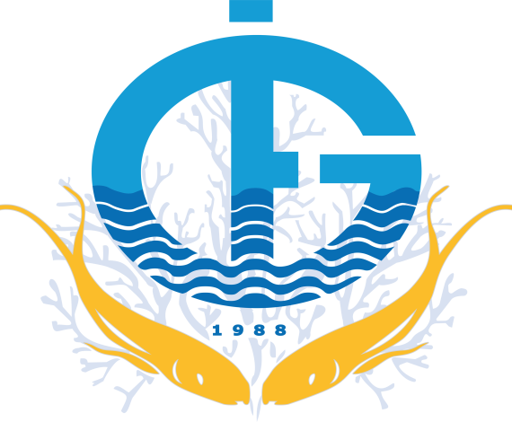 GDFI Logo Card