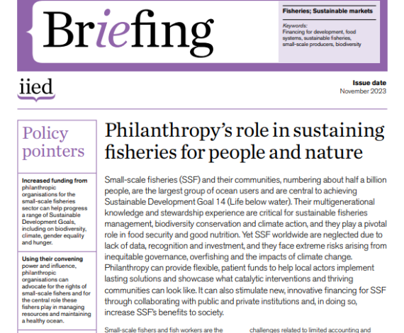 IIED Brief