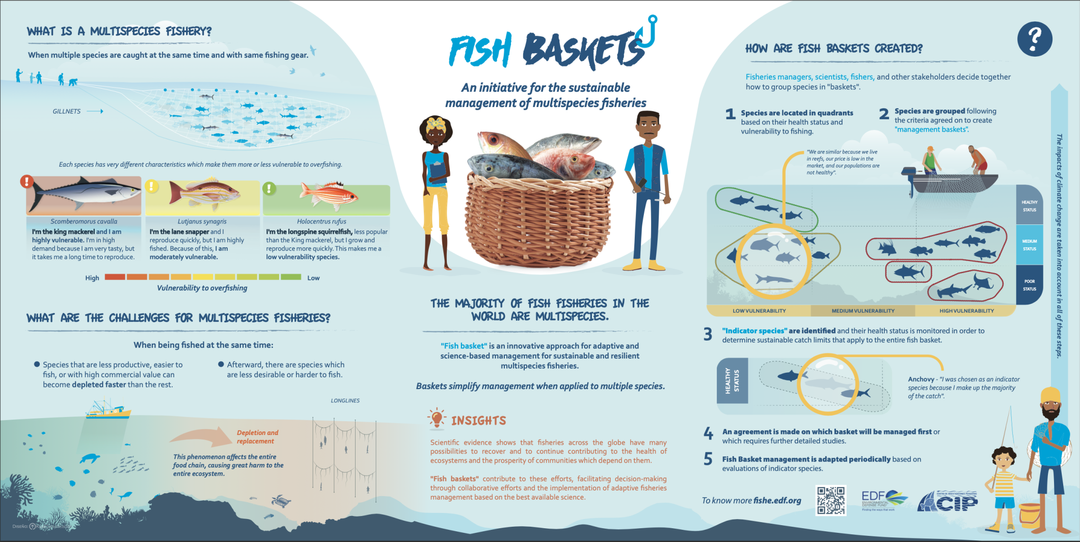 Infographic fish baskets