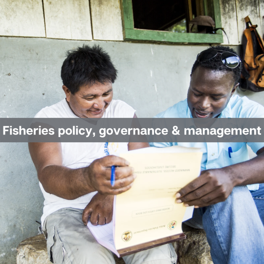 Fisheries policy, governance & management 
