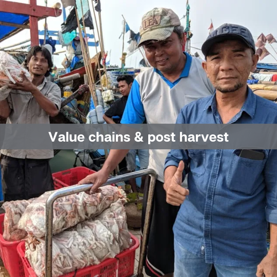 Value chains & post harvest