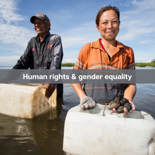 Human rights & gender equality