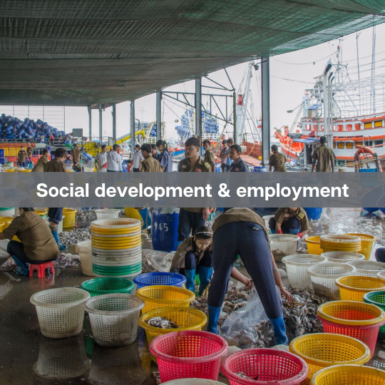 Social development & employment