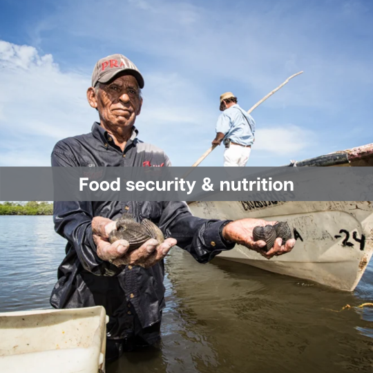 Food security & nutrition