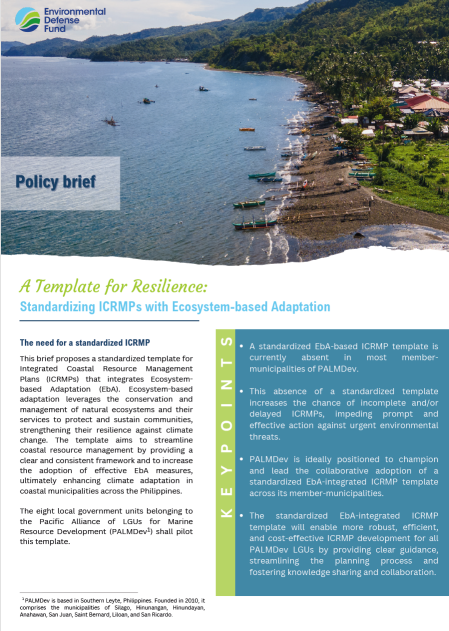 policy brief cover