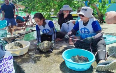 Clam Seeding GDFI 5