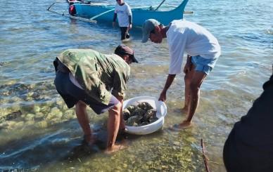 Clam Seeding GDFI 6