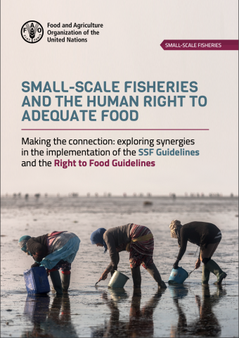 Small-Scale Fisheries and the Human Right to Adequate Food