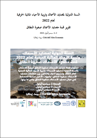Arabic SSF Summit Report Cover
