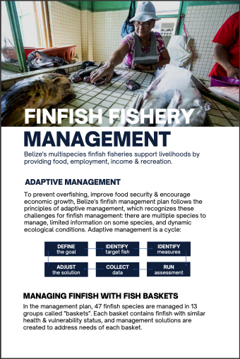 Finfish management poster