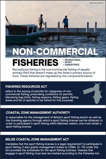 Recreational Fisheries Poster